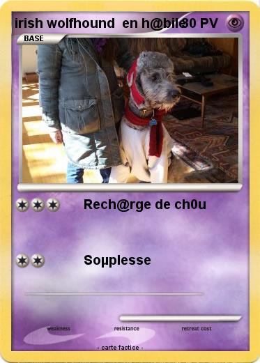 Pokemon irish wolfhound  en h@bile