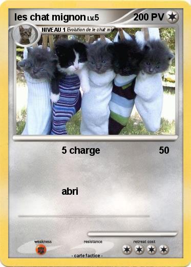 Pokemon les chat mignon