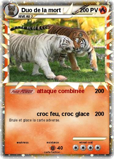 Pokemon Duo de la mort