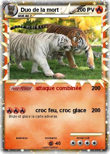 Pokemon Duo de la mort