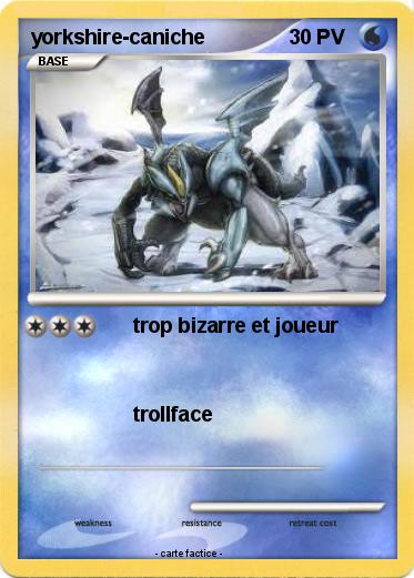 Pokemon yorkshire-caniche