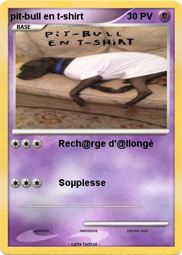 Pokemon pit-bull en t-shirt