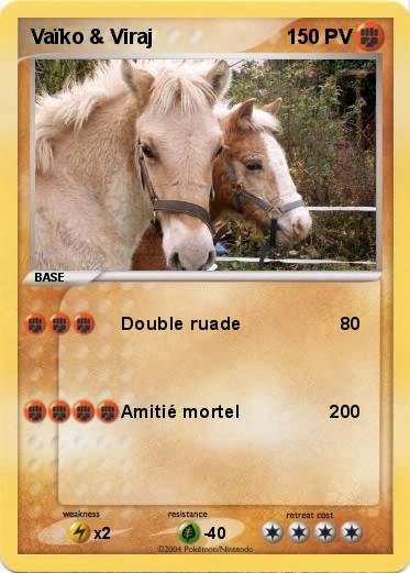Pokemon Vaïko & Viraj