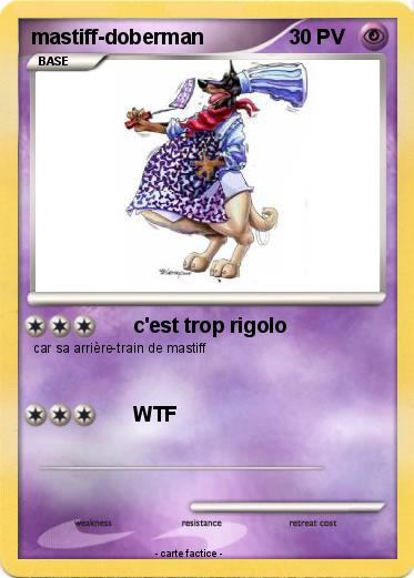 Pokemon mastiff-doberman