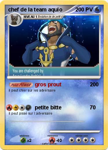 Pokemon chef de la team aquio