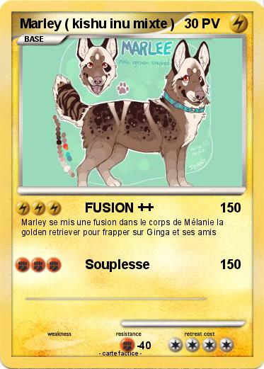 Pokemon Marley ( kishu inu mixte )