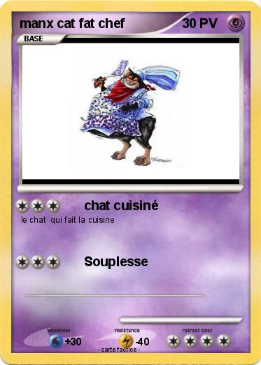 Pokemon manx cat fat chef
