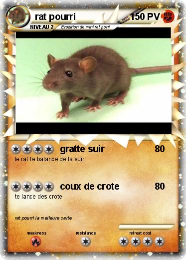 Pokemon rat pourri