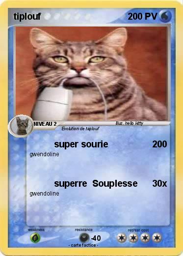 Pokemon tiplouf