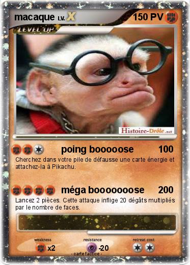 Pokemon macaque