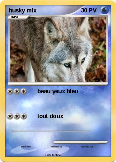 Pokemon husky mix