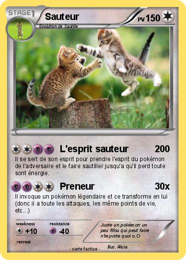 Pokemon Sauteur