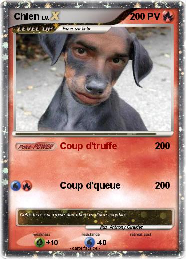 Pokemon Chien