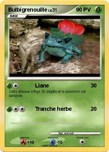 Pokemon Bulbigrenouille