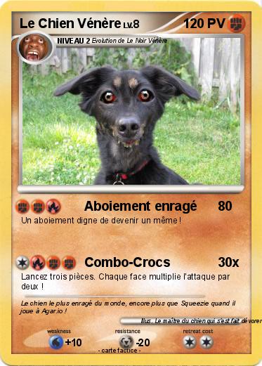 Pokemon Le Chien Vénère