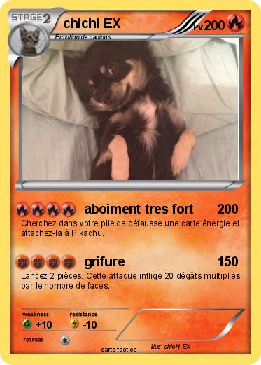 Pokemon chichi EX