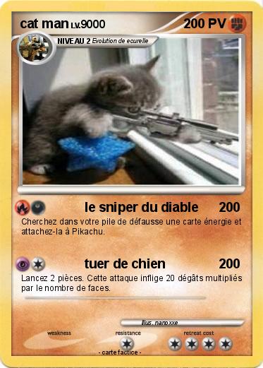 Pokemon cat man