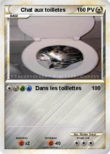 Pokemon Chat aux toilletes