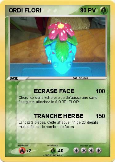 Pokemon ORDI FLORI