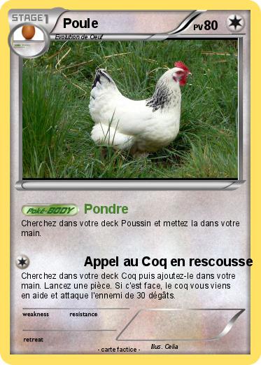 Pokemon Poule