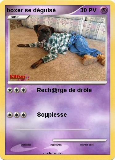 Pokemon boxer se déguisé