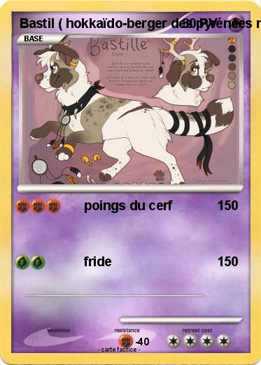 Pokemon Bastil ( hokkaïdo-berger des pyrénées mix )