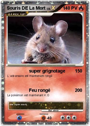 Pokemon Souris DE La Mort