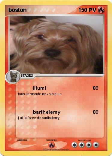 Pokemon boston