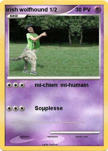 Pokemon irish wolfhound 1/2