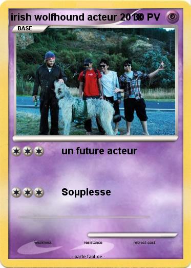 Pokemon irish wolfhound acteur 2018