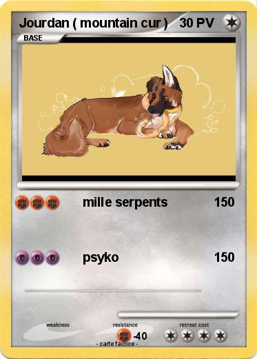 Pokemon Jourdan ( mountain cur )