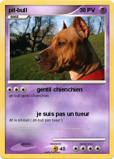 Pokemon pit-bull