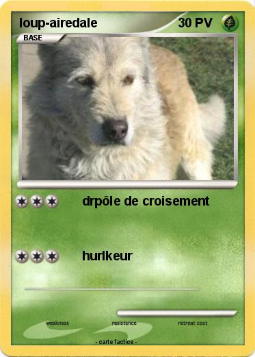 Pokemon loup-airedale