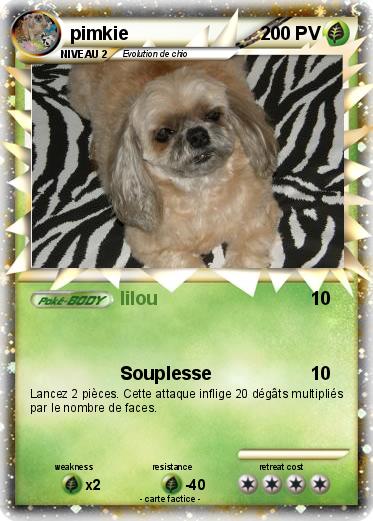 Pokemon pimkie