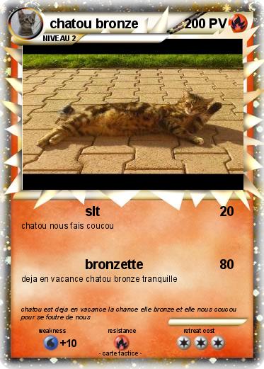 Pokemon chatou bronze