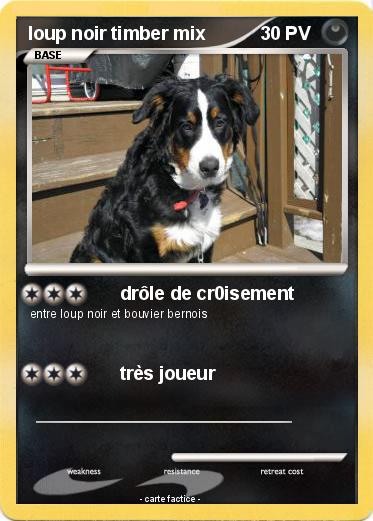 Pokemon loup noir timber mix