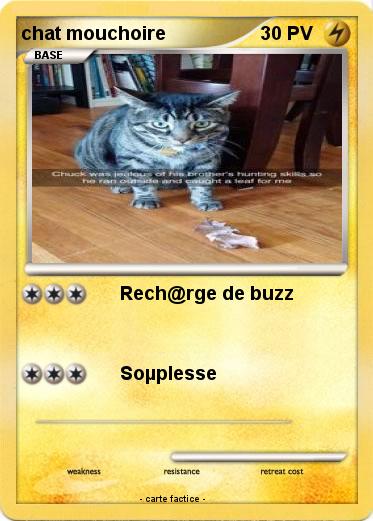 Pokemon chat mouchoire