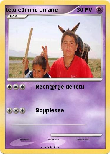Pokemon têtu c0mme un ane