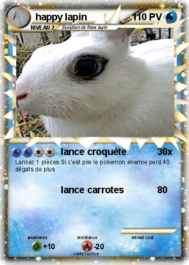 Pokemon happy lapin
