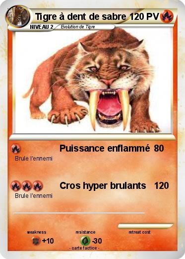 Pokemon Tigre à dent de sabre