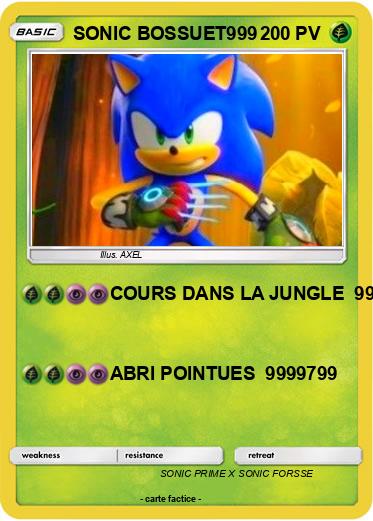 Pokemon SONIC BOSSUET999