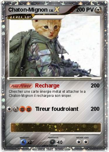 Pokemon Chaton-Mignon