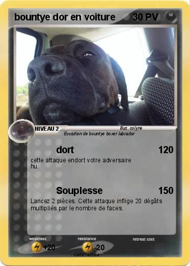 Pokemon bountye dor en voiture