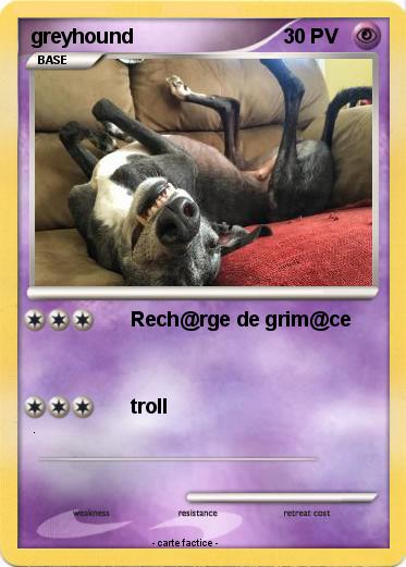 Pokemon greyhound