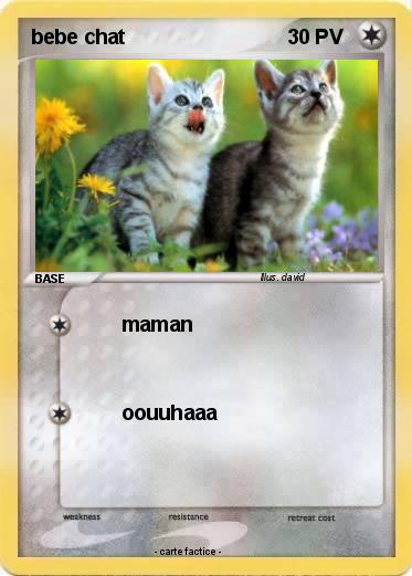 Pokemon bebe chat