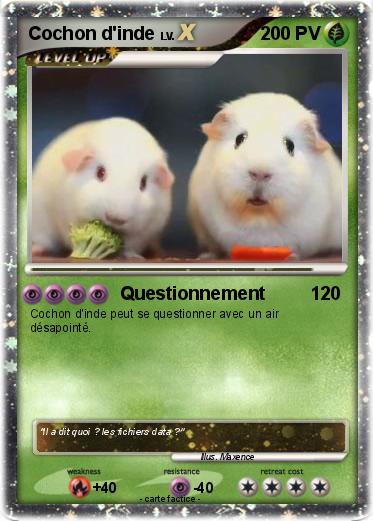 Pokemon Cochon d'inde