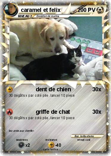 Pokemon caramel et felix