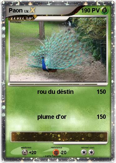 Pokemon Paon