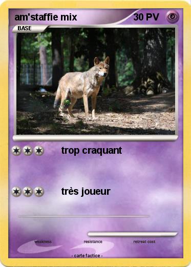 Pokemon am'staffie mix