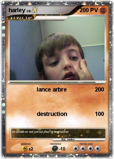 Pokemon harley